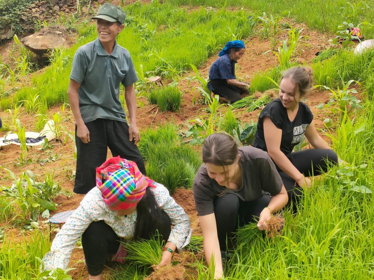 Indigenous Homestay- Trek- Food- Bus Mu Cang Chai Kültér fotó
