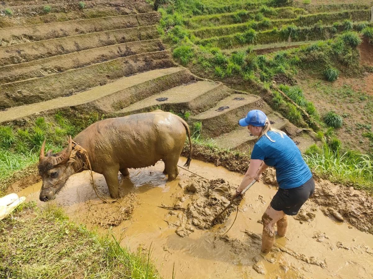 Indigenous Homestay- Trek- Food- Bus Mu Cang Chai Kültér fotó
