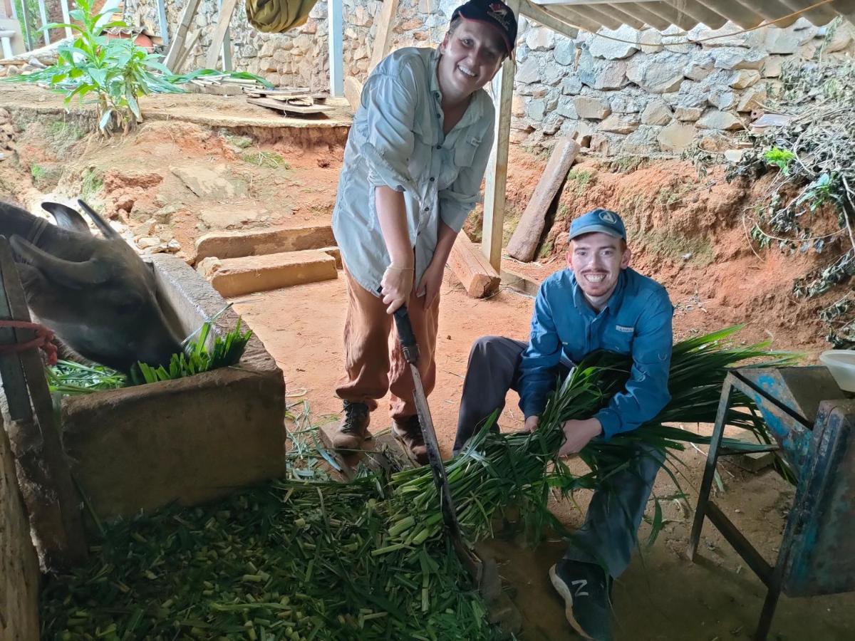 Indigenous Homestay- Trek- Food- Bus Mu Cang Chai Kültér fotó