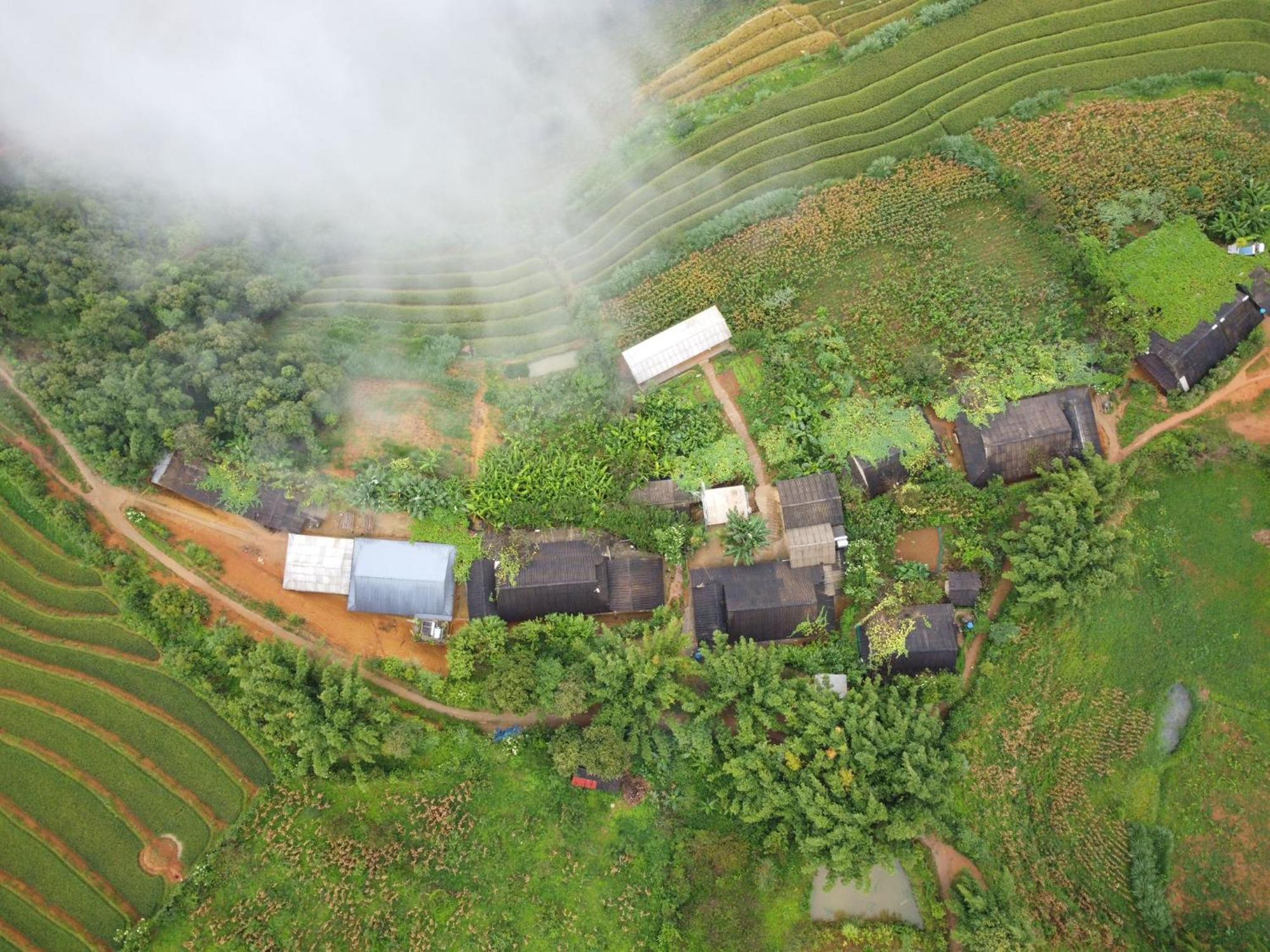 Indigenous Homestay- Trek- Food- Bus Mu Cang Chai Kültér fotó