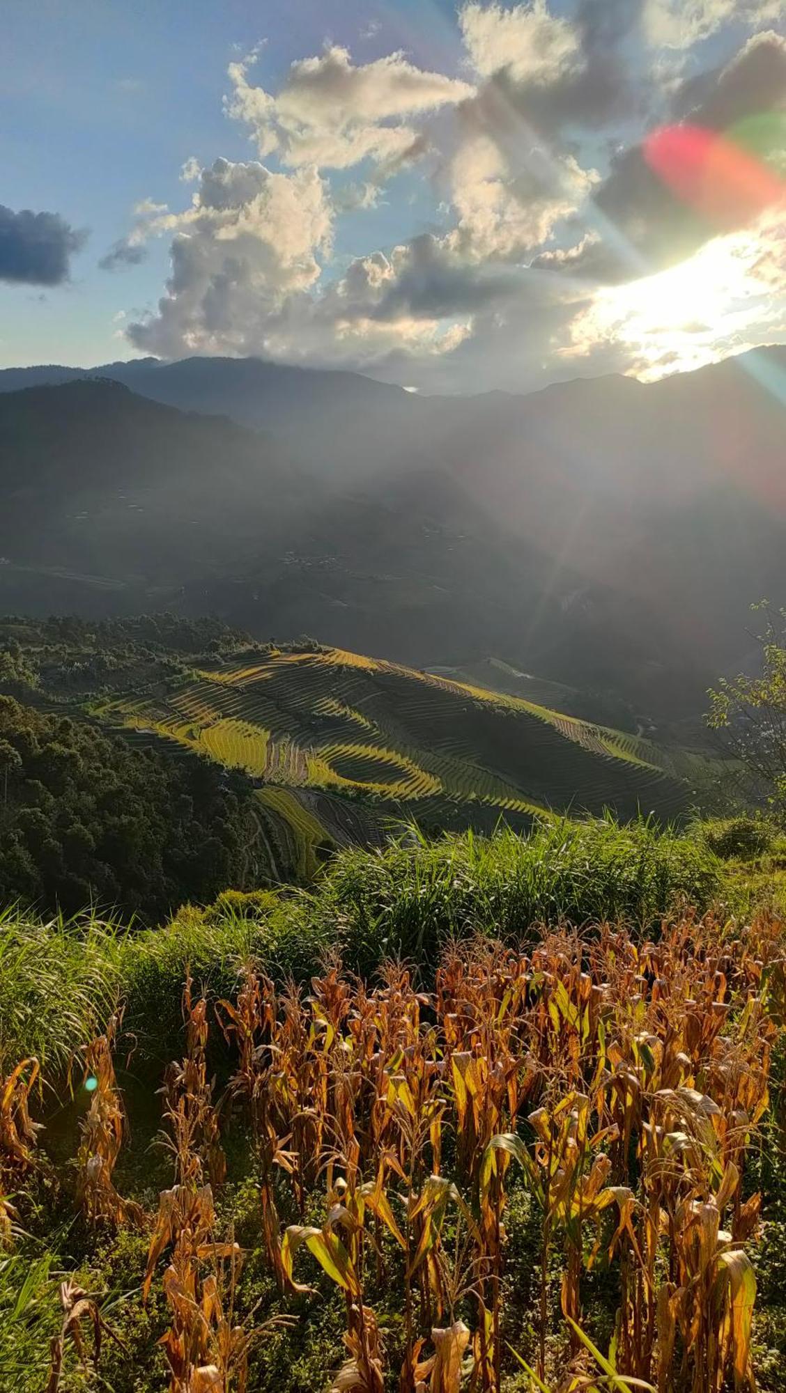 Indigenous Homestay- Trek- Food- Bus Mu Cang Chai Kültér fotó