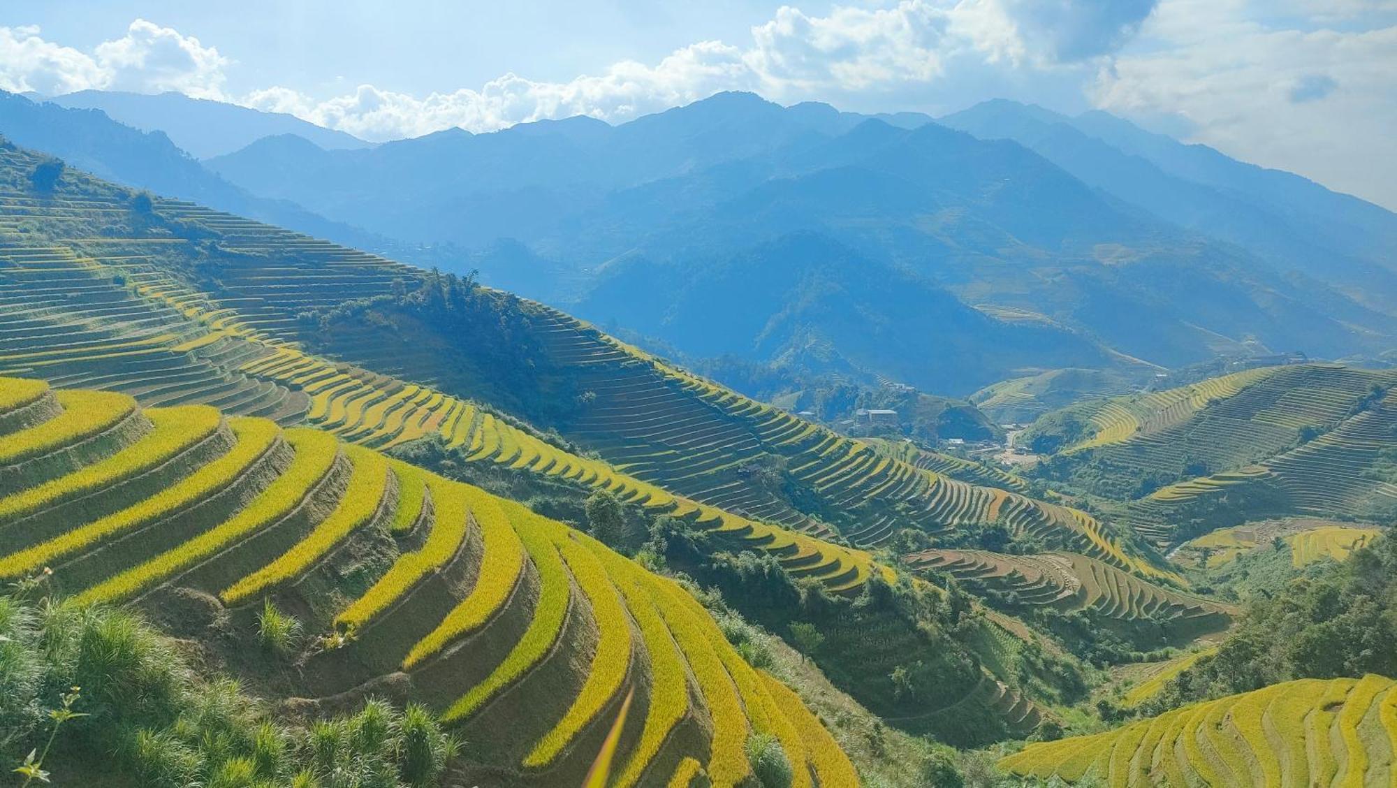 Indigenous Homestay- Trek- Food- Bus Mu Cang Chai Kültér fotó