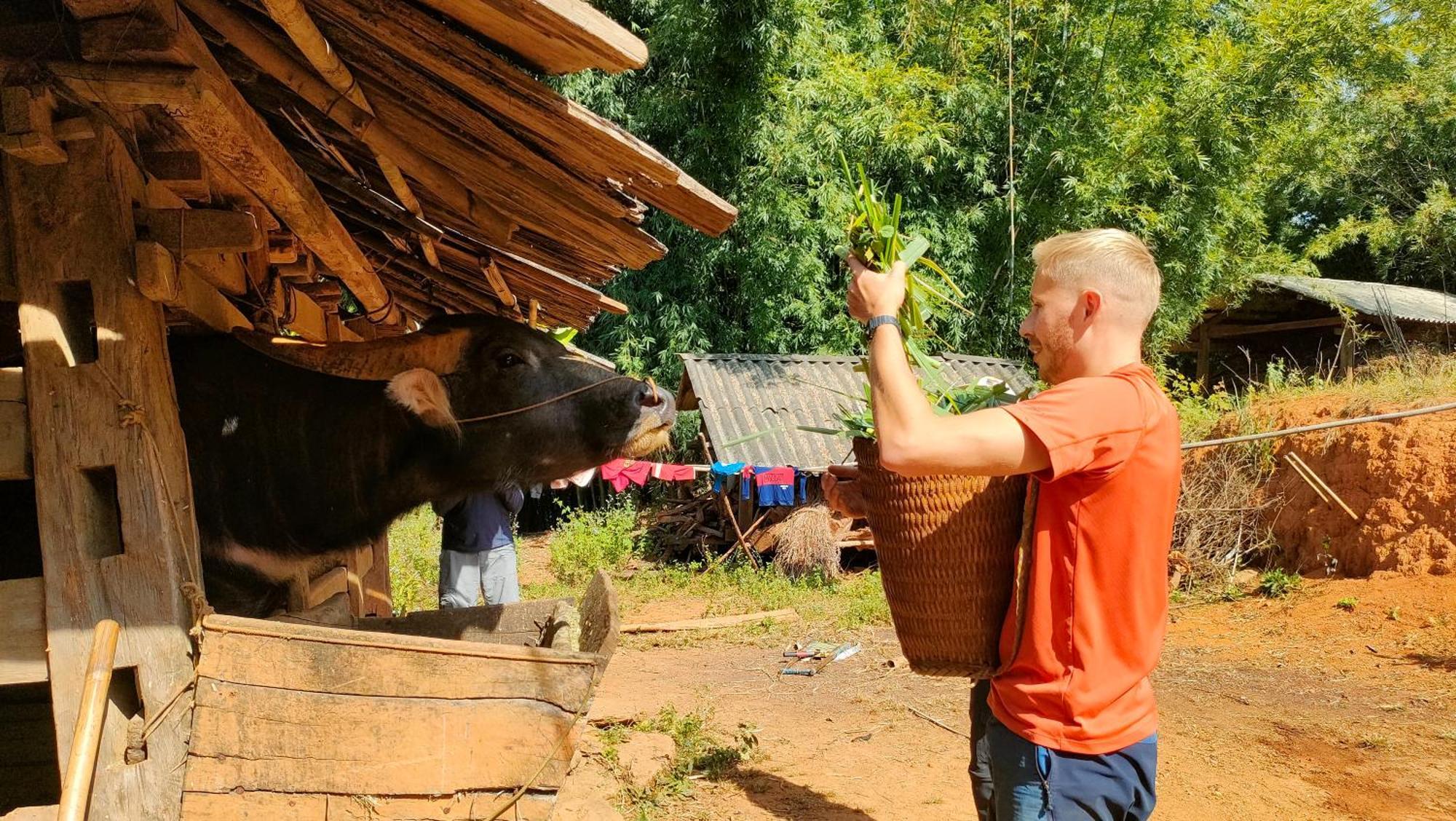 Indigenous Homestay- Trek- Food- Bus Mu Cang Chai Kültér fotó